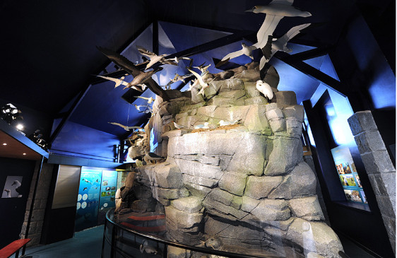 Musée de la Station LPO, le diorama de la première salle